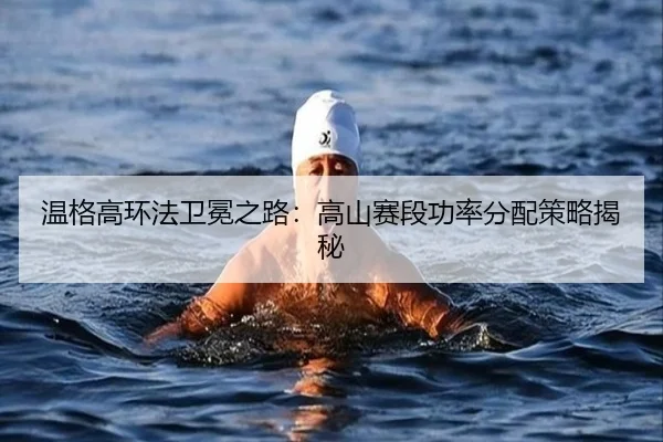 温格高环法卫冕之路：高山赛段功率分配策略揭秘