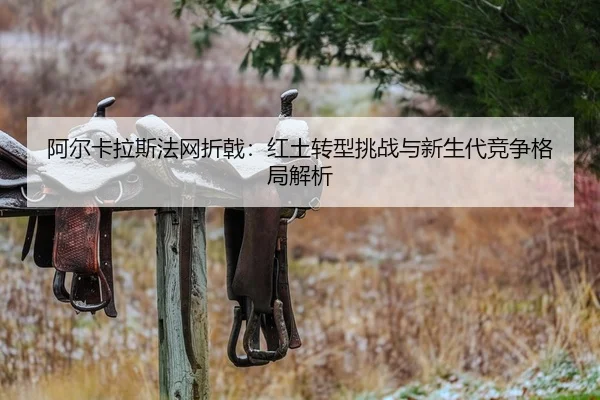 a-er-ka-la-si-fa-wang-zhe-ji-hong-tu-zhuan-xing-tiao-zhan-yu-xin-sheng-dai-jing-zheng-ge-ju-jie-xi-2-269.jpg