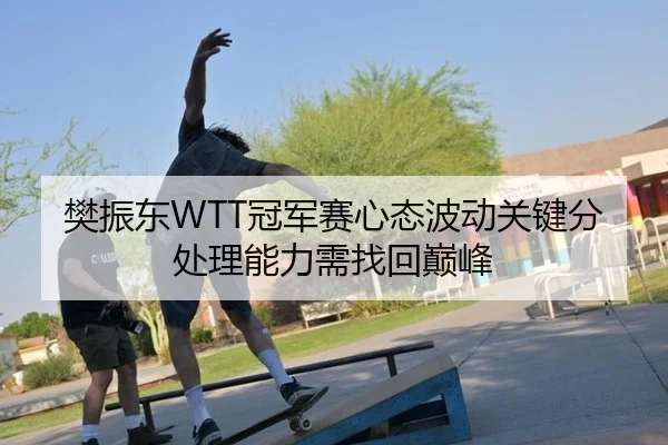 樊振东WTT冠军赛心态波动关键分处理能力需找回巅峰
