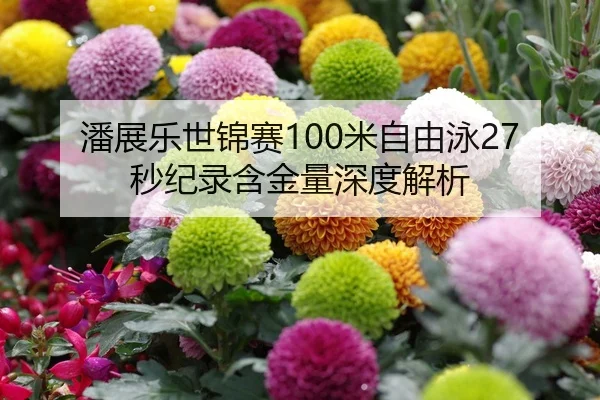 潘展乐世锦赛100米自由泳27秒纪录含金量深度解析