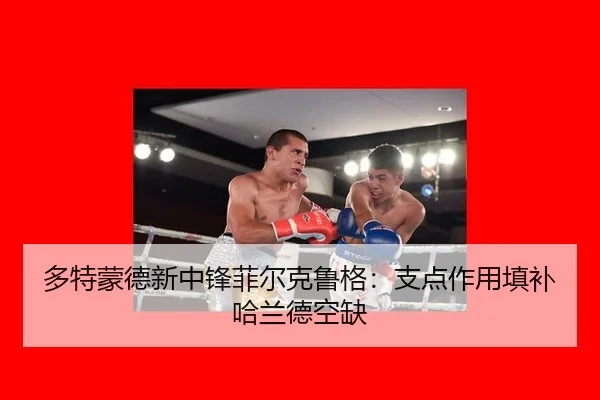 duo-te-meng-de-xin-zhong-feng-fei-er-ke-lu-ge-zhi-dian-zuo-yong-tian-bu-ha-lan-de-kong-que-3-397.jpg