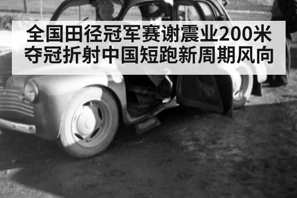 全国田径冠军赛谢震业200米夺冠折射中国短跑新周期风向
